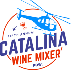 SwagShopSnapBusiness